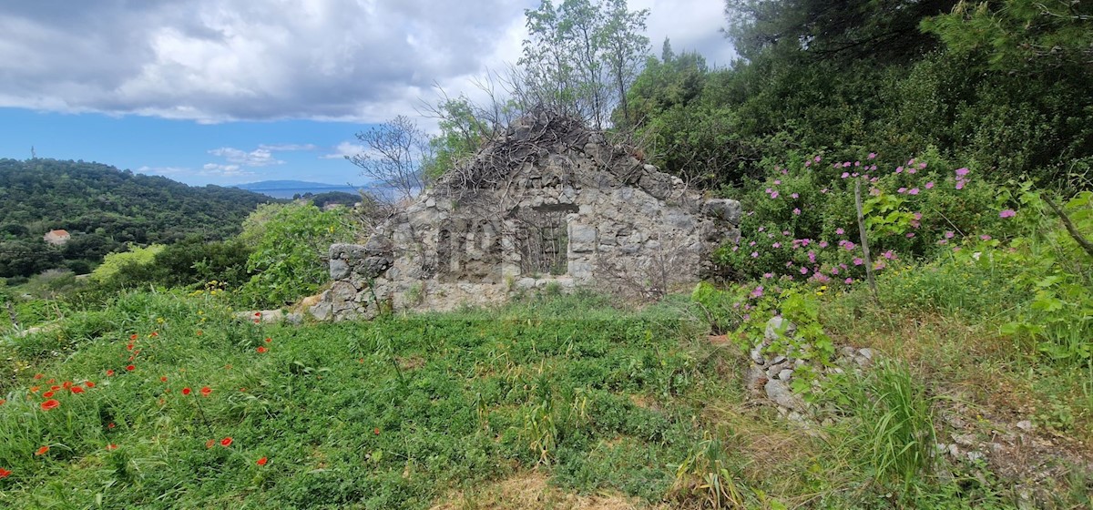 Ruševina z vinogradom POGLED NA MORJE (Žuljana/Pelješac)