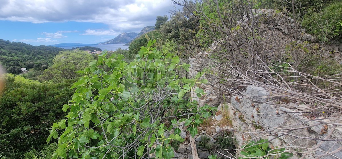 Ruševina z vinogradom POGLED NA MORJE (Žuljana/Pelješac)