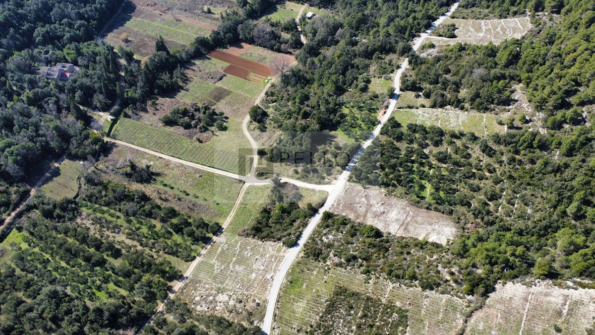 Ruševina z vinogradom POGLED NA MORJE (Žuljana/Pelješac)