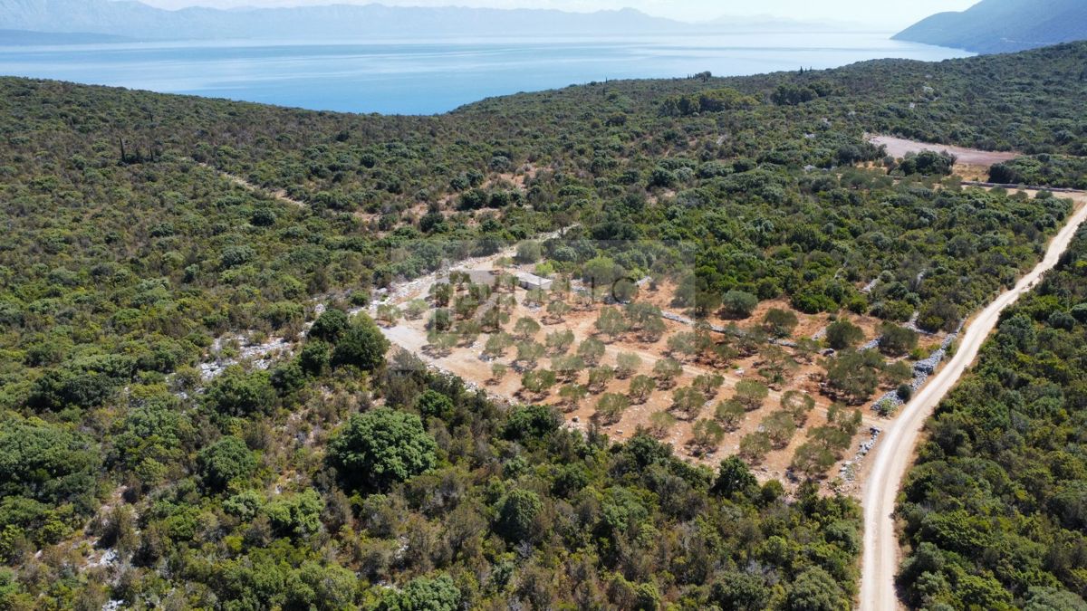 PRVA VRSTA OB MORJU – 9,7 ha NA PELJEŠCU ZA TURISTIČNI IN GOSPODARSKI RAZVOJ
