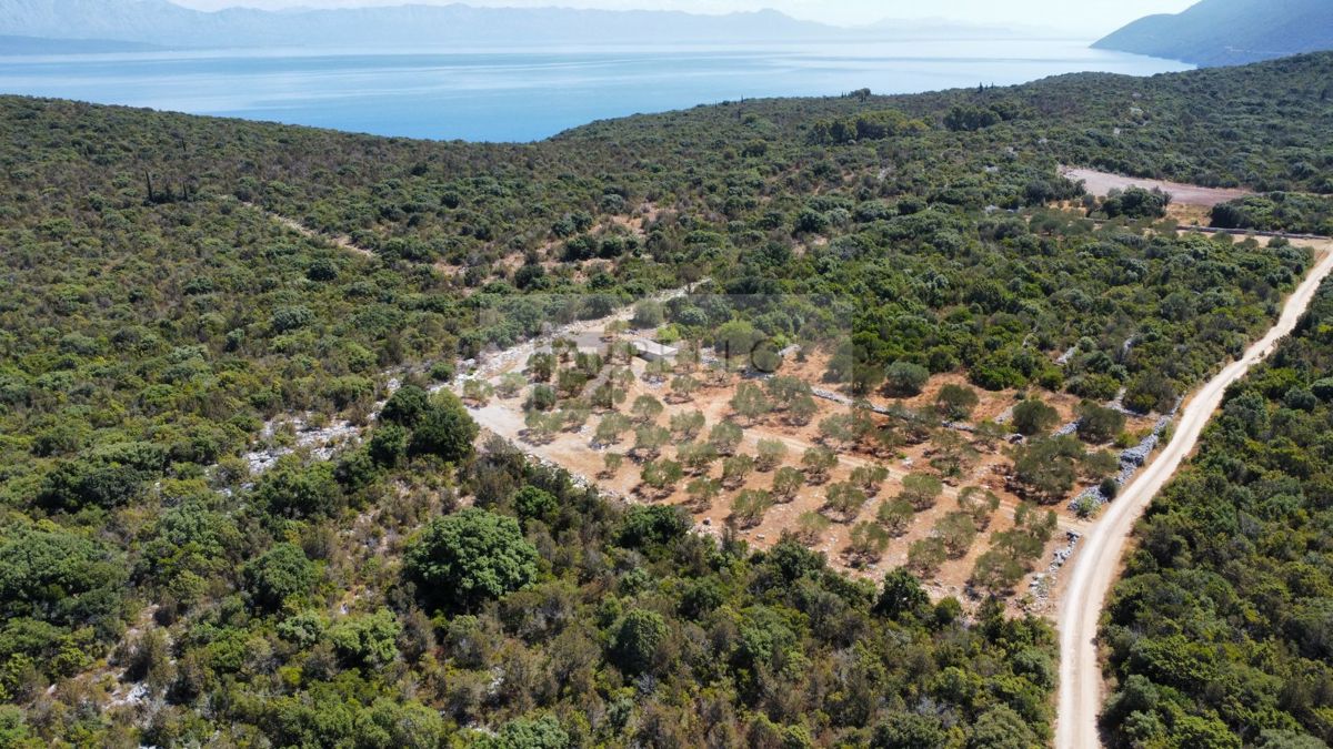 PRVA VRSTA OB MORJU – 9,7 ha NA PELJEŠCU ZA TURISTIČNI IN GOSPODARSKI RAZVOJ
