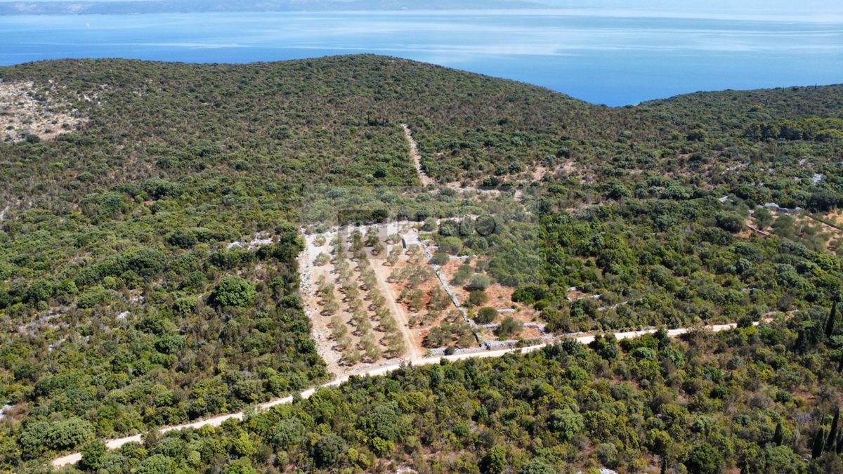 PRVA VRSTA OB MORJU – 9,7 ha NA PELJEŠCU ZA TURISTIČNI IN GOSPODARSKI RAZVOJ