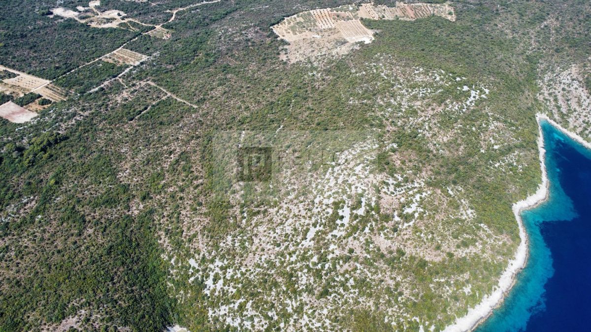 PRVA VRSTA OB MORJU – 9,7 ha NA PELJEŠCU ZA TURISTIČNI IN GOSPODARSKI RAZVOJ