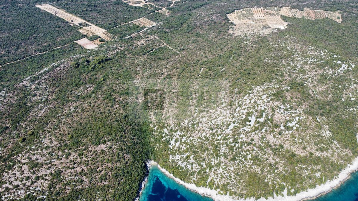 PRVA VRSTA OB MORJU – 9,7 ha NA PELJEŠCU ZA TURISTIČNI IN GOSPODARSKI RAZVOJ