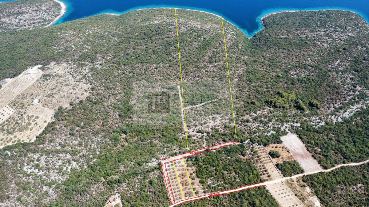PRVA VRSTA OB MORJU – 9,7 ha NA PELJEŠCU ZA TURISTIČNI IN GOSPODARSKI RAZVOJ