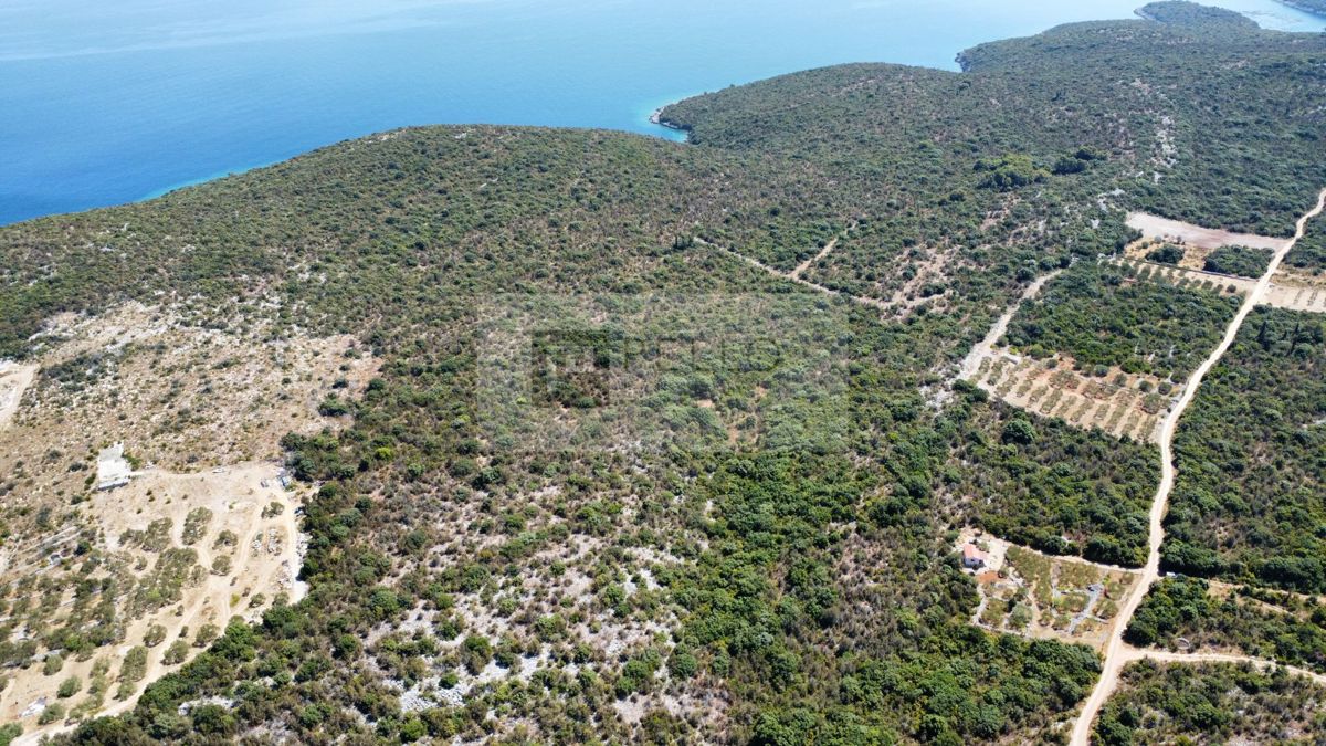 PRVA VRSTA OB MORJU – 9,7 ha NA PELJEŠCU ZA TURISTIČNI IN GOSPODARSKI RAZVOJ