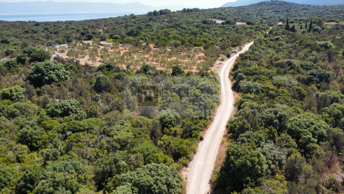 PRVA VRSTA OB MORJU – 9,7 ha NA PELJEŠCU ZA TURISTIČNI IN GOSPODARSKI RAZVOJ