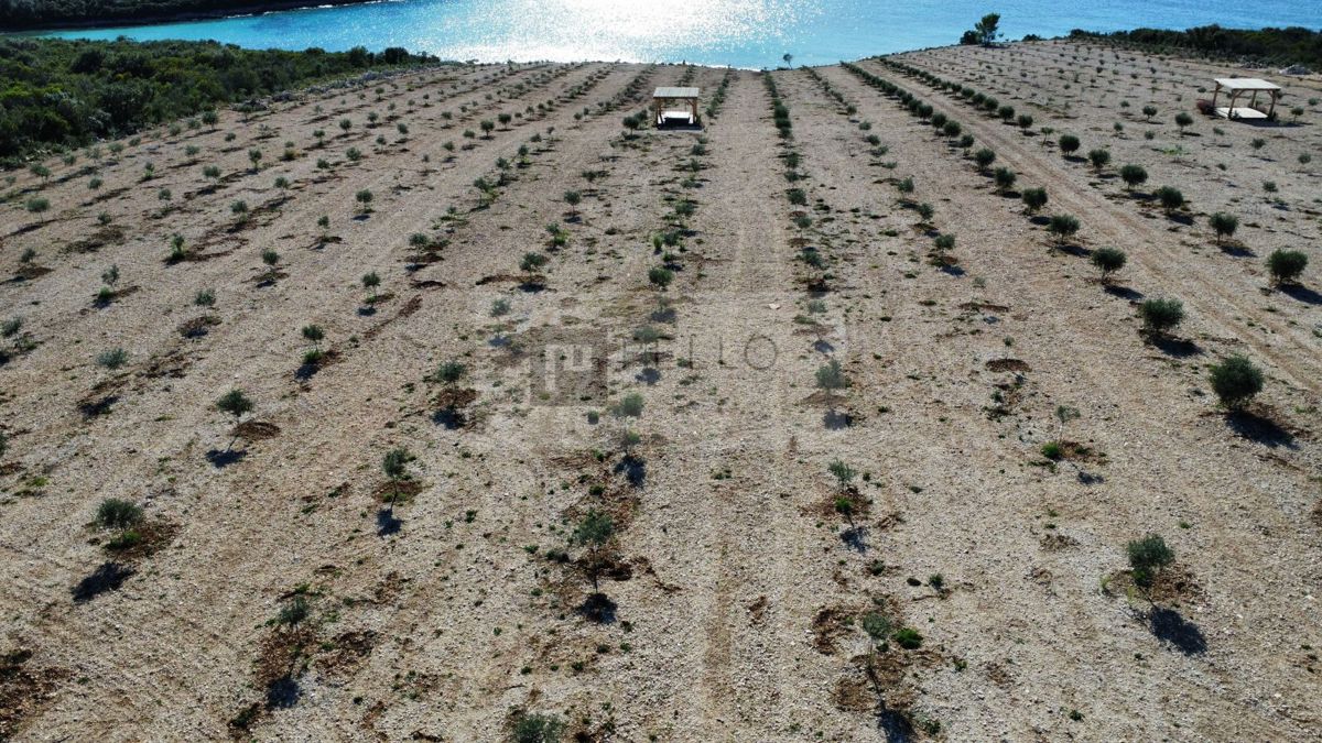 Ekskluzivna prodaja – Eko posestvo 3 ha, prva vrsta ob morju, Lovišče – polotok Pelješac