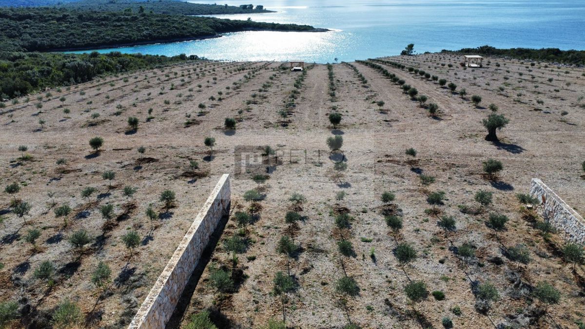 Ekskluzivna prodaja – Eko posestvo 3 ha, prva vrsta ob morju, Lovišče – polotok Pelješac