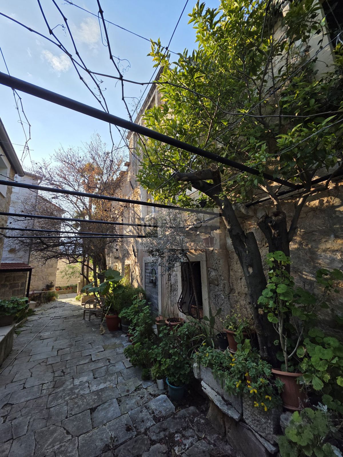 Kamnita hiša za obnovo z zemljiščem – Pelješac