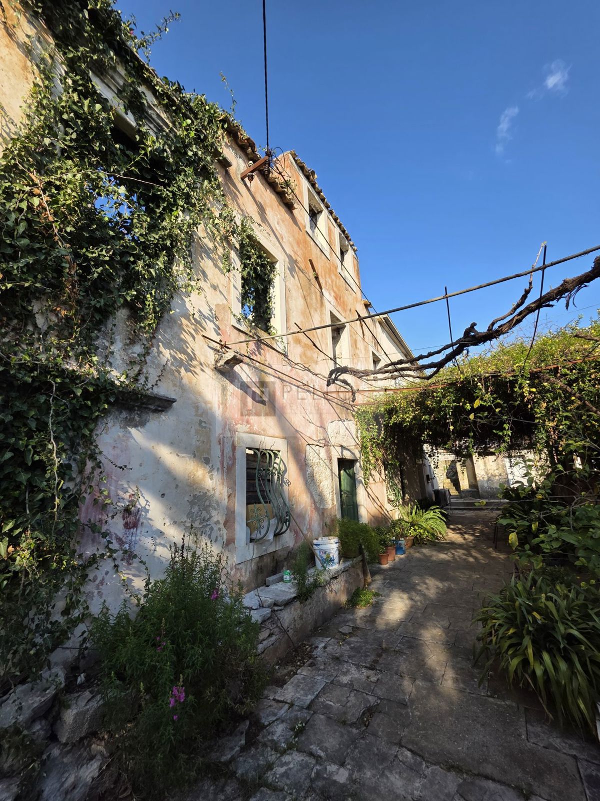 Kamnita hiša za obnovo z zemljiščem – Pelješac