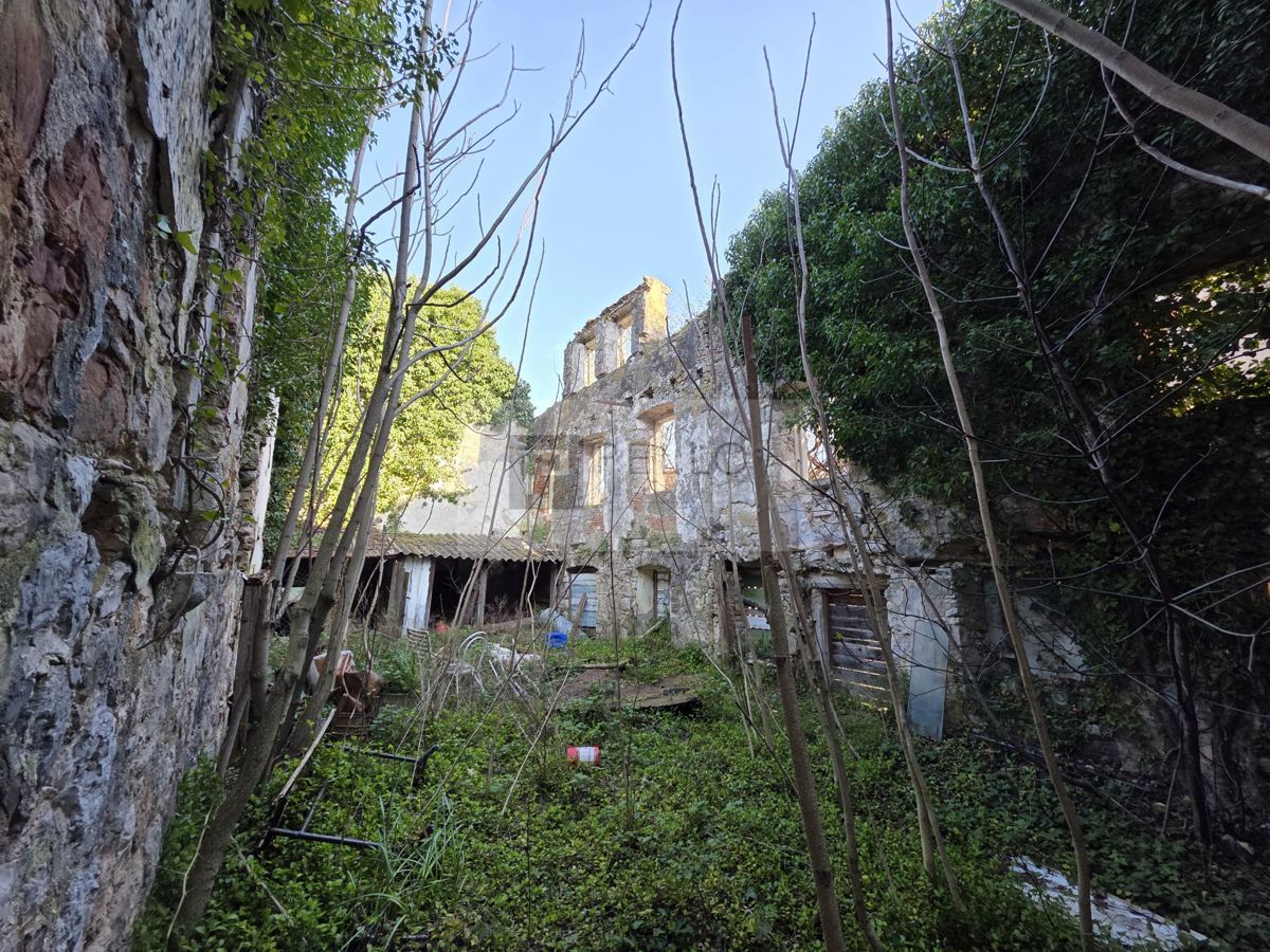 Kamnita hiša za obnovo z zemljiščem – Pelješac