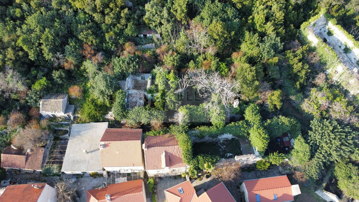 Kamnita hiša za obnovo z zemljiščem – Pelješac