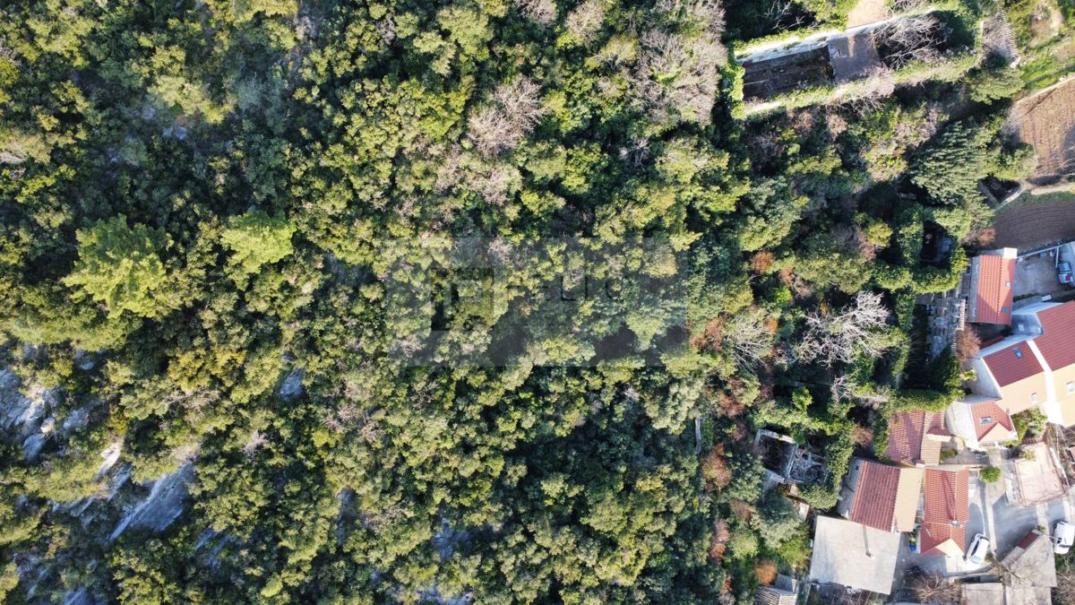 Kamnita hiša za obnovo z zemljiščem – Pelješac