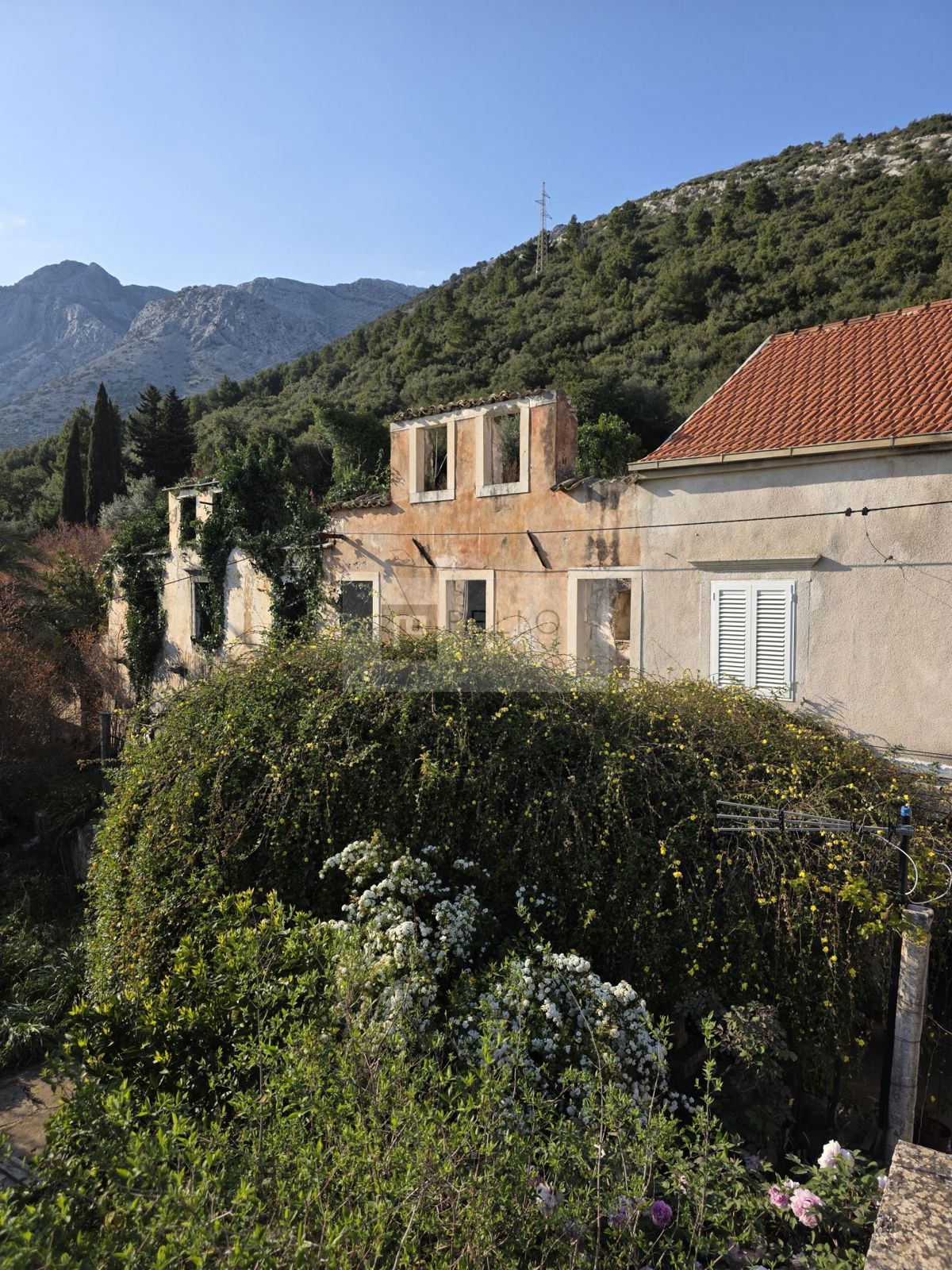 Kamnita hiša za obnovo z zemljiščem – Pelješac