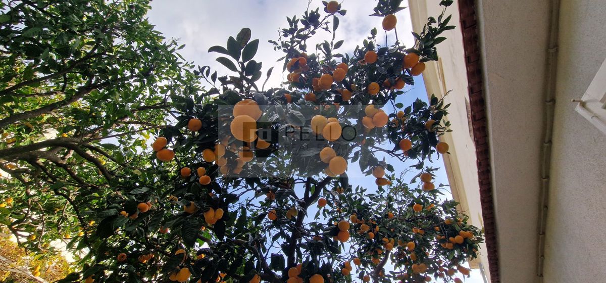 Trosobno stanovanje 156,69 m² z razgledom na morje – Orebić (samo 3 minute hoje od morja)