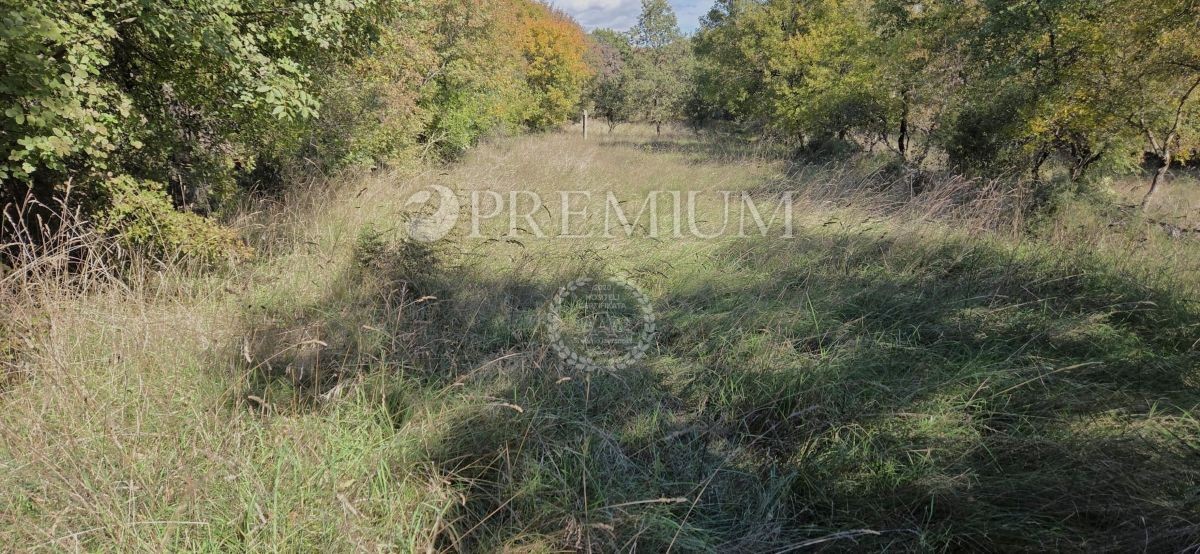 Okolica Vrbnika, zazidljivo zemljišče naprodaj – odlična priložnost za investitorje!