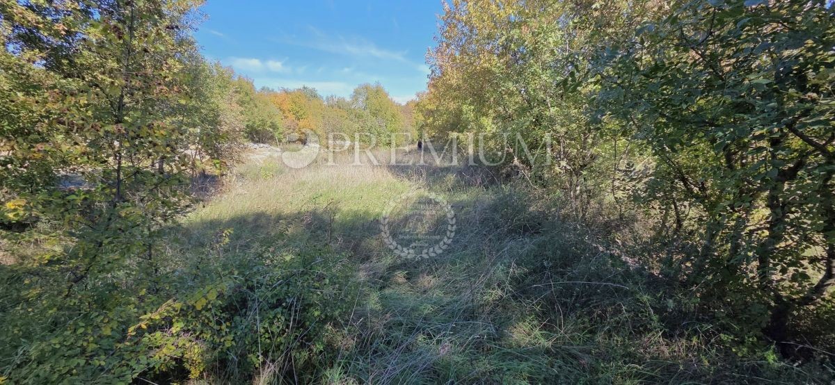 Okolica Vrbnika, zazidljivo zemljišče naprodaj – odlična priložnost za investitorje!