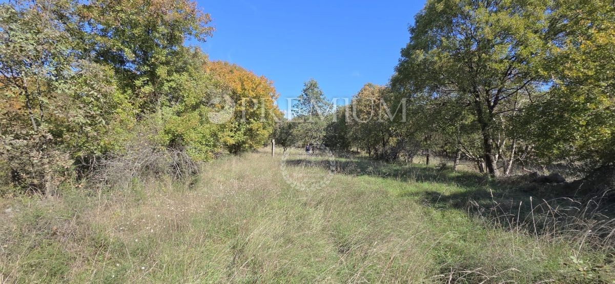 Okolica Vrbnika, zazidljivo zemljišče naprodaj – odlična priložnost za investitorje!