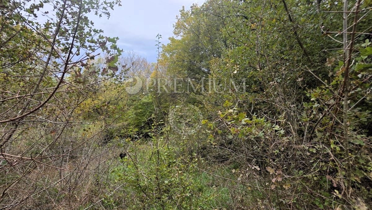 Zaliv Soline, kmetijsko zemljišče 3.640 m²