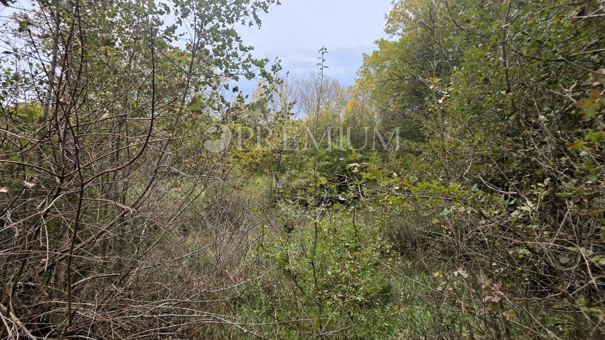 Zaliv Soline, kmetijsko zemljišče 3.640 m²