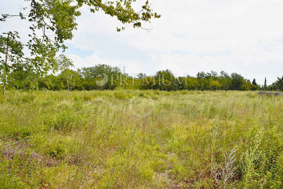 Okolica Krka, zemljišče s projektom za vilo z bazenom!