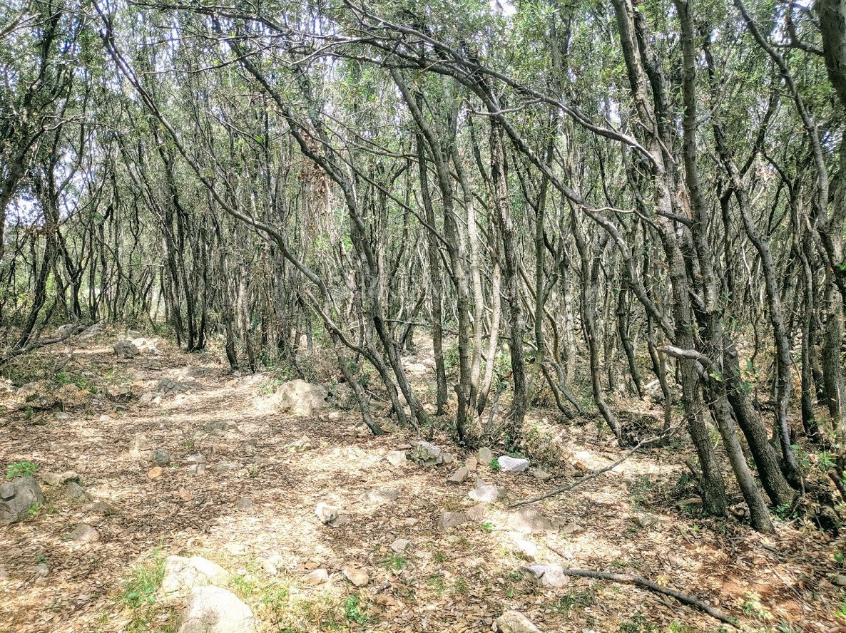 Okolica Krka, prodaja zemljišča na atraktivni lokaciji z dostopom do naravne plaže!