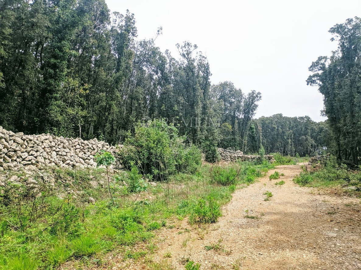 Okolica Krka, prodaja zemljišča na atraktivni lokaciji z dostopom do naravne plaže!