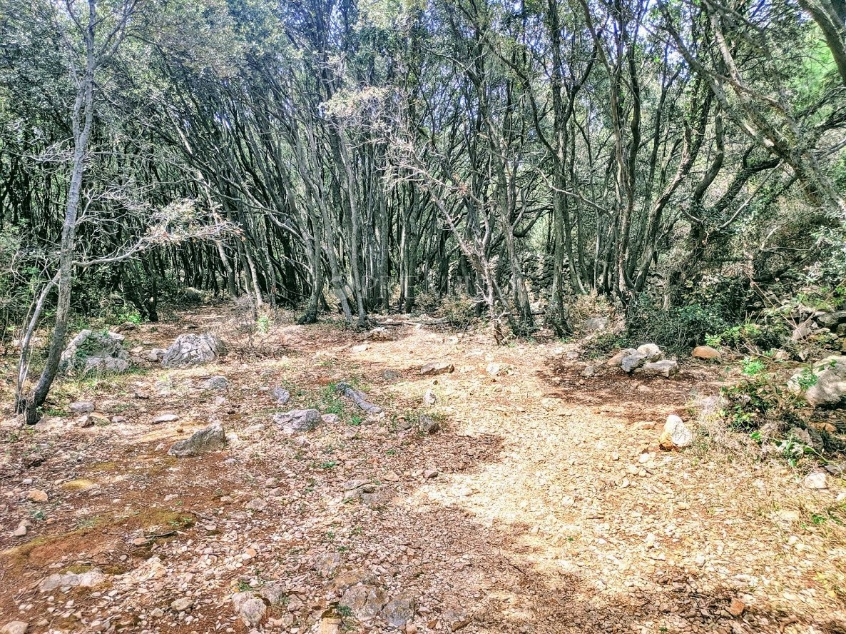 Okolica Krka, prodaja zemljišča na atraktivni lokaciji z dostopom do naravne plaže!