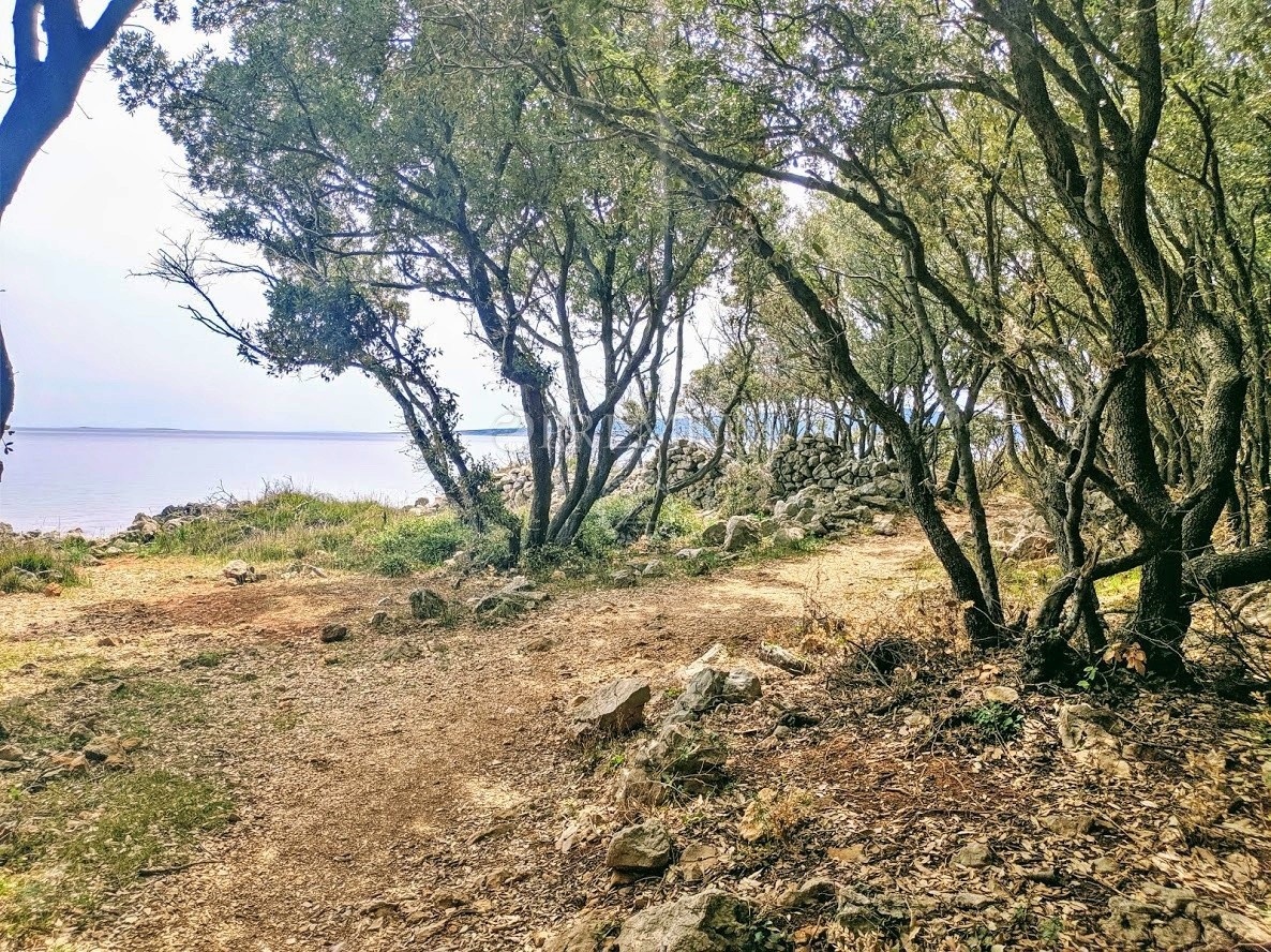 Okolica Krka, prodaja zemljišča na atraktivni lokaciji z dostopom do naravne plaže!