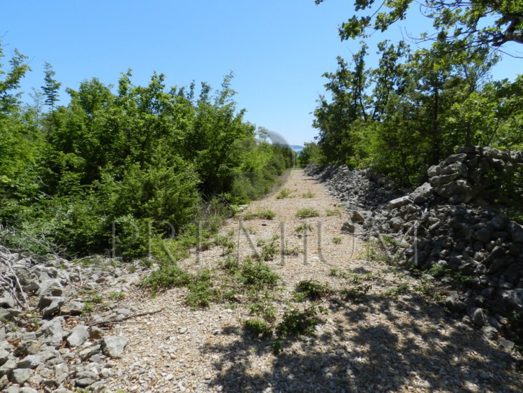 Okolica Krka, prodaja, kmetijsko zemljišče!