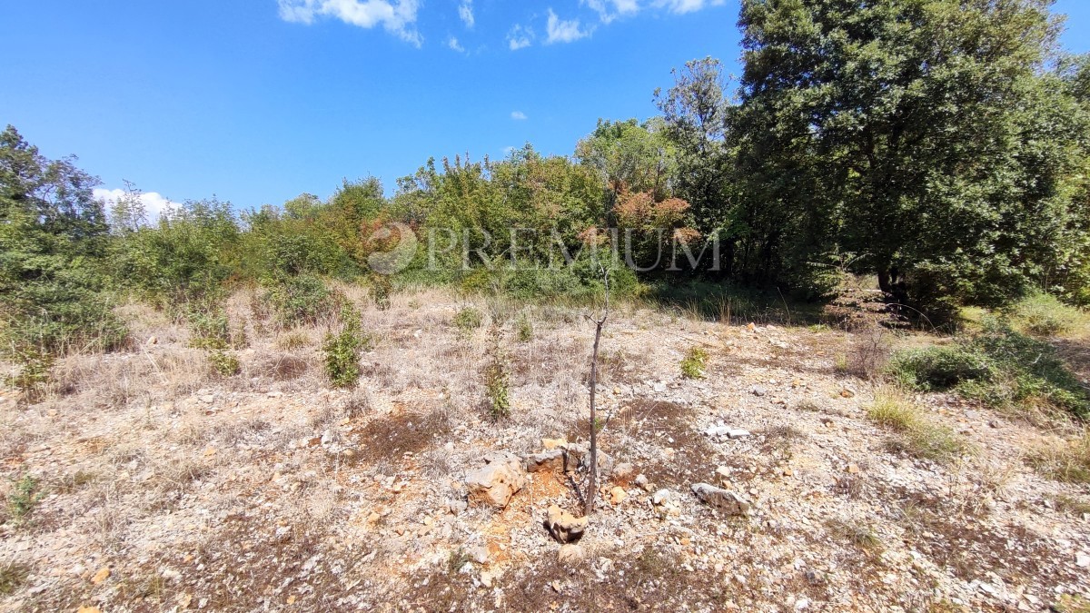 Pinezići. kmetijsko zemljišče 150 m od morja!