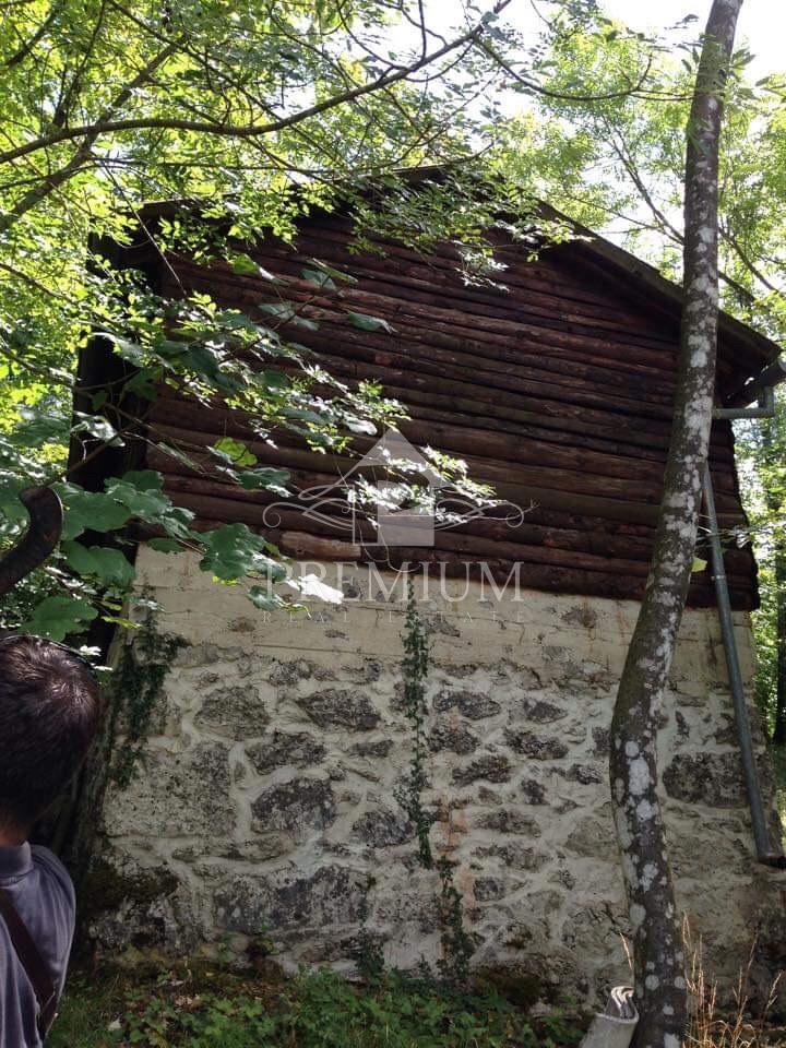 LESENA LOVSKA HIŠA Z ZEMLJIŠČEM 8.971 m2, PRILOŽNOST!