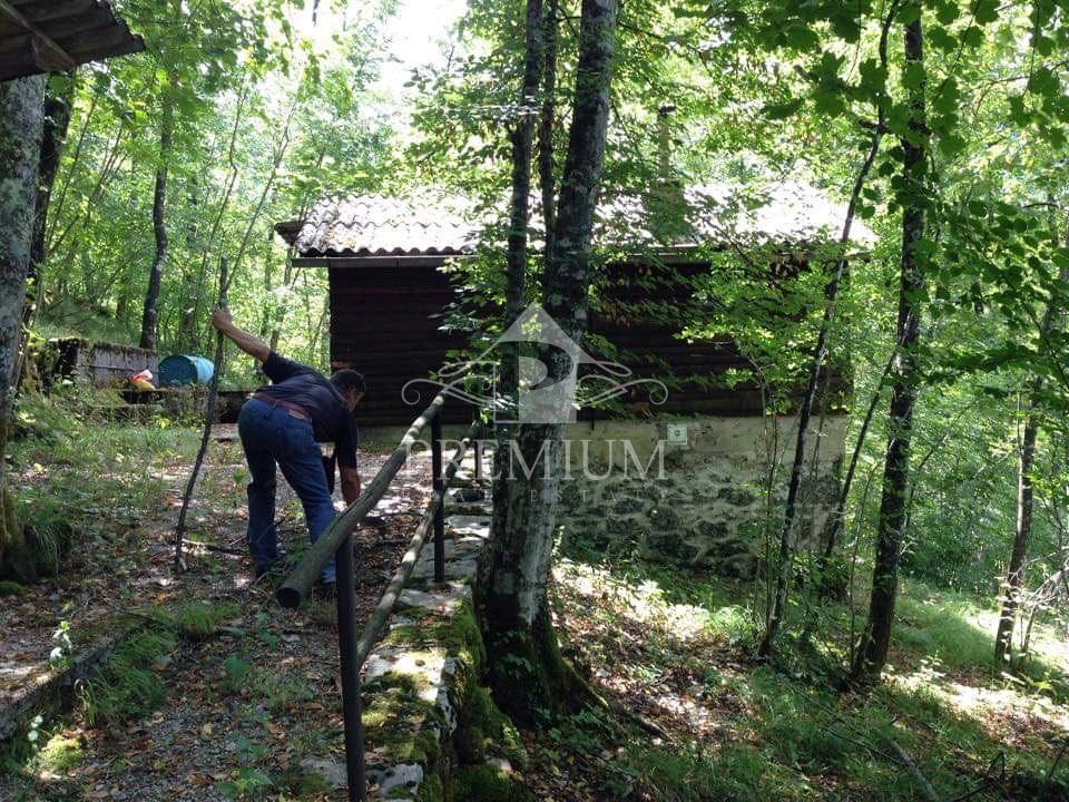 LESENA LOVSKA HIŠA Z ZEMLJIŠČEM 8.971 m2, PRILOŽNOST!
