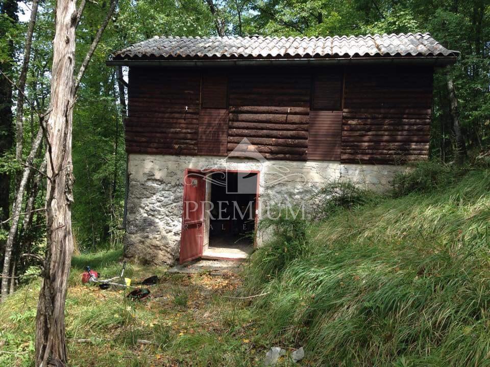 LESENA LOVSKA HIŠA Z ZEMLJIŠČEM 8.971 m2, PRILOŽNOST!