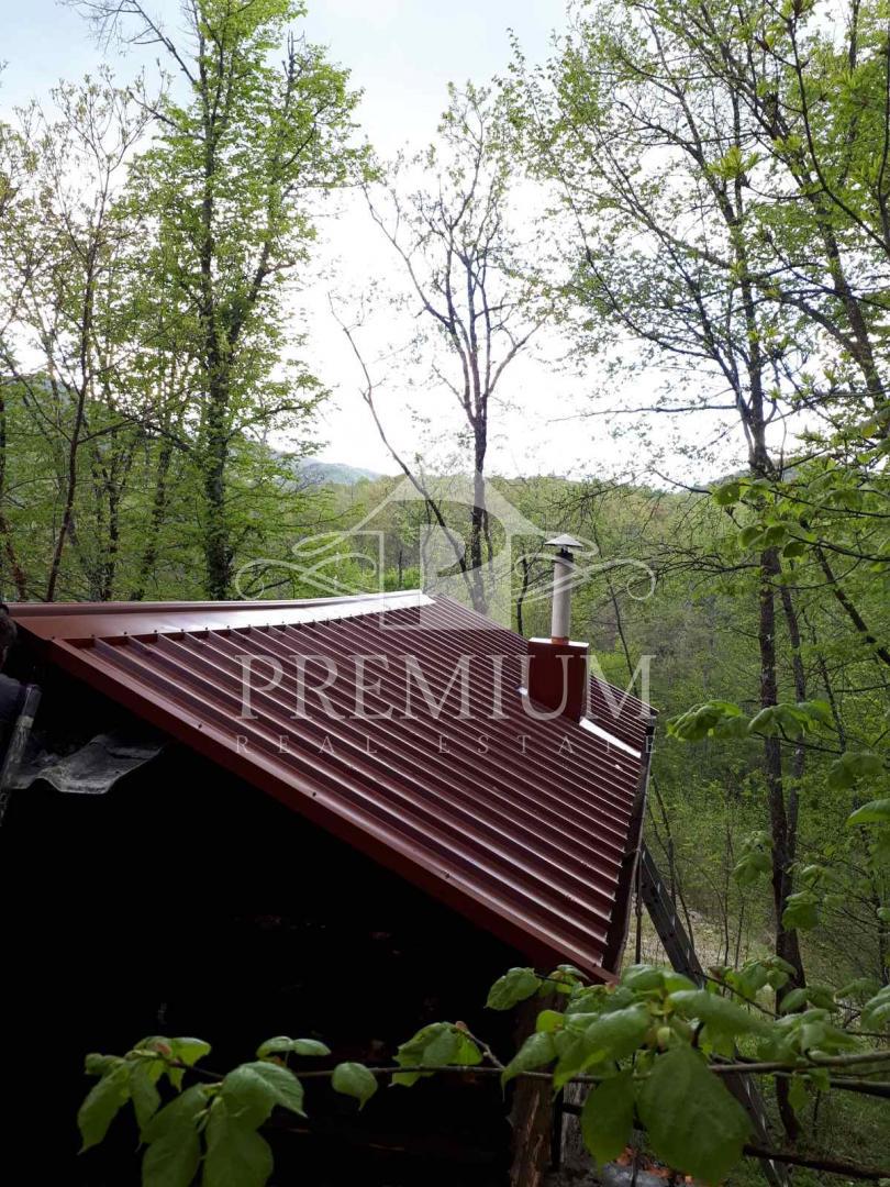 LESENA LOVSKA HIŠA Z ZEMLJIŠČEM 8.971 m2, PRILOŽNOST!
