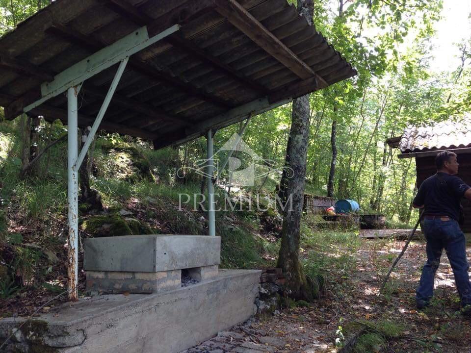 LESENA LOVSKA HIŠA Z ZEMLJIŠČEM 8.971 m2, PRILOŽNOST!