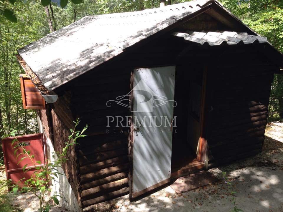 LESENA LOVSKA HIŠA Z ZEMLJIŠČEM 8.971 m2, PRILOŽNOST!