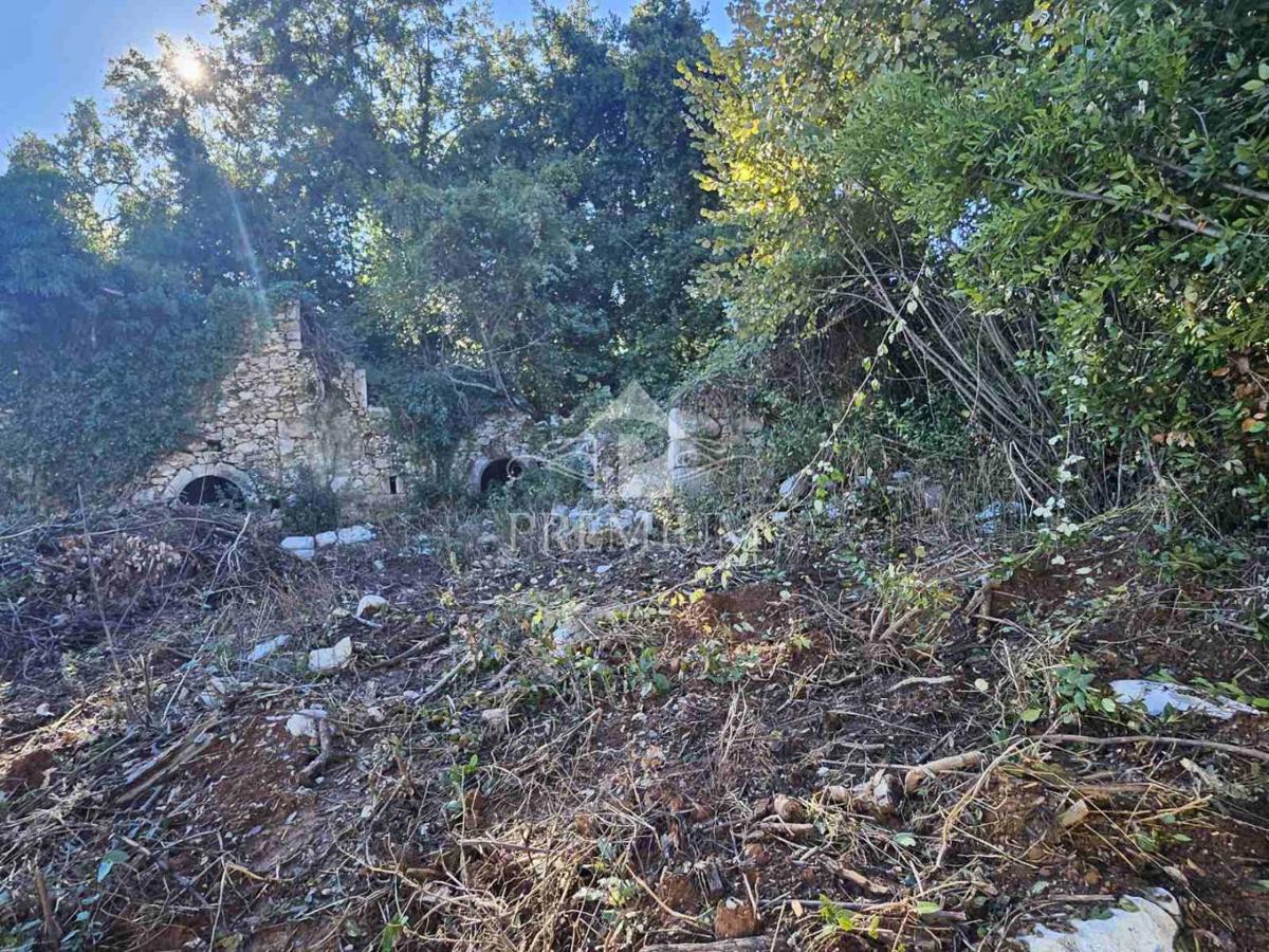 STARA KAMNITA RUŠEVINA Z VRTOM