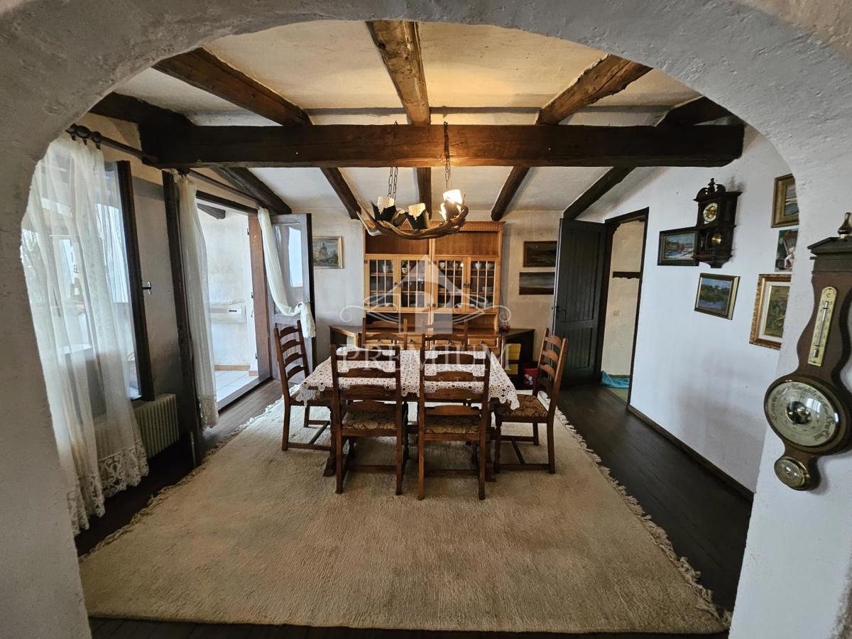 DRUŽINSKA HIŠA Z VELIKIM VRTOM NA MIRNI LOKACIJI