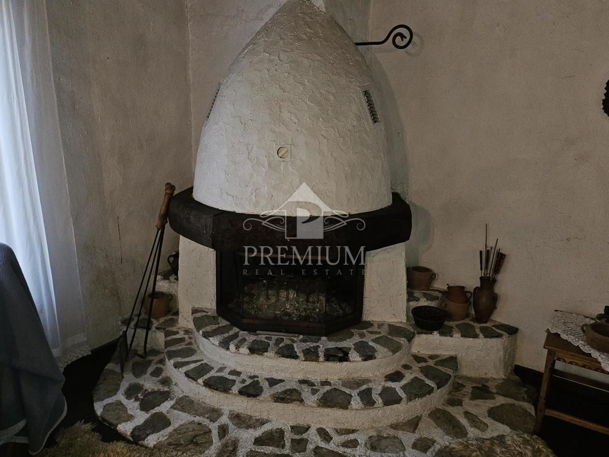 DRUŽINSKA HIŠA Z VELIKIM VRTOM NA MIRNI LOKACIJI