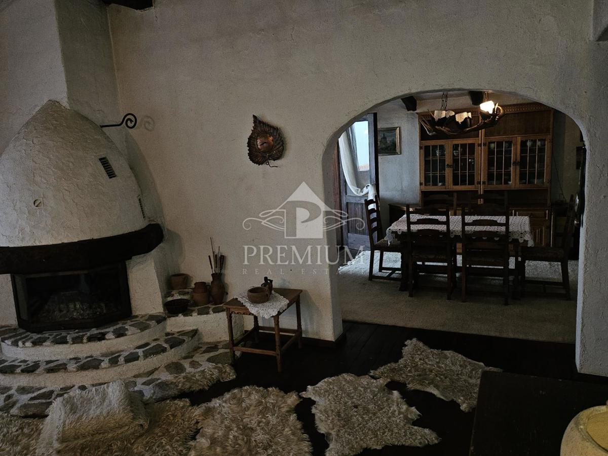 DRUŽINSKA HIŠA Z VELIKIM VRTOM NA MIRNI LOKACIJI