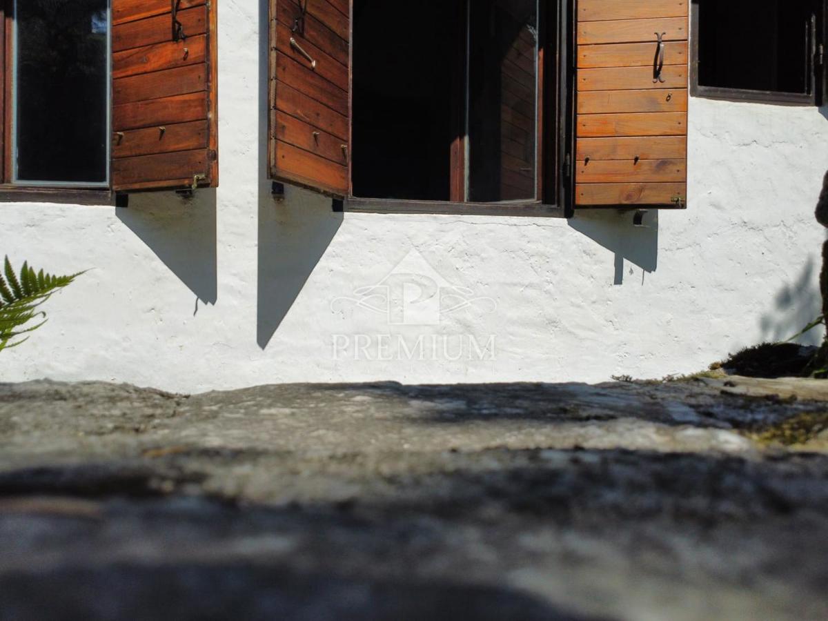 DRUŽINSKA HIŠA Z VELIKIM VRTOM NA MIRNI LOKACIJI