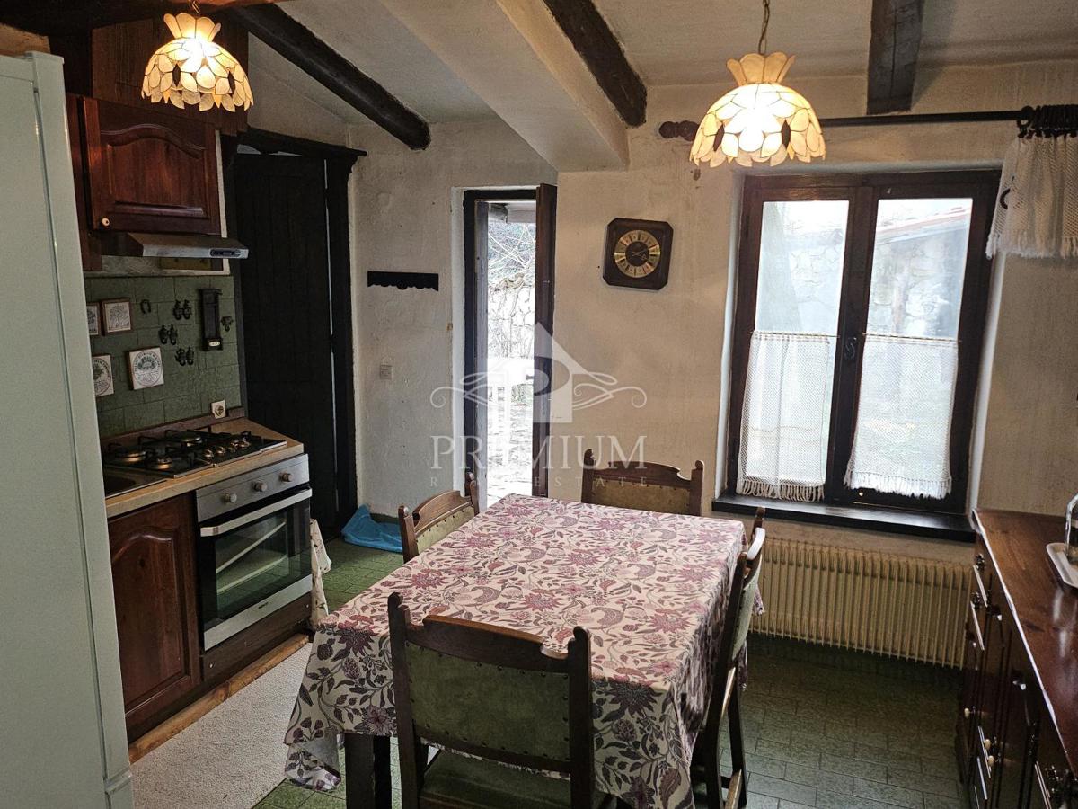 DRUŽINSKA HIŠA Z VELIKIM VRTOM NA MIRNI LOKACIJI