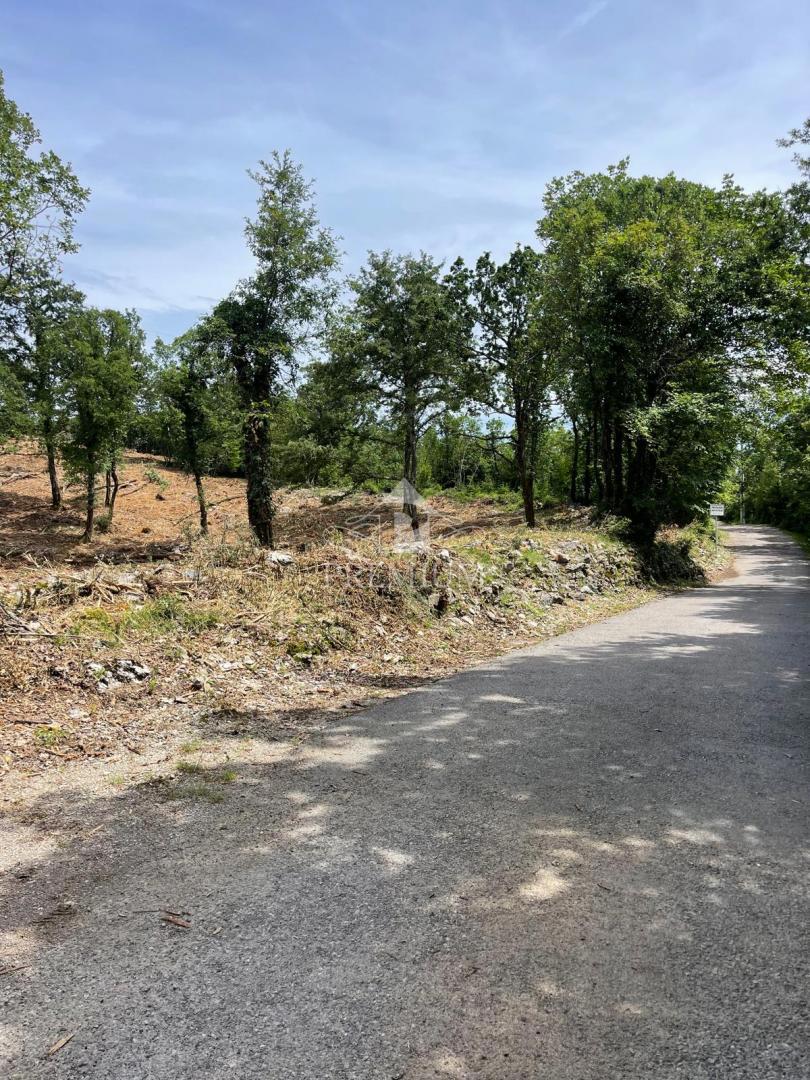 VELIKA PARCELA Z LEPIM RAZGLEDOM, MIRNA LOKACIJA, CONA T-1