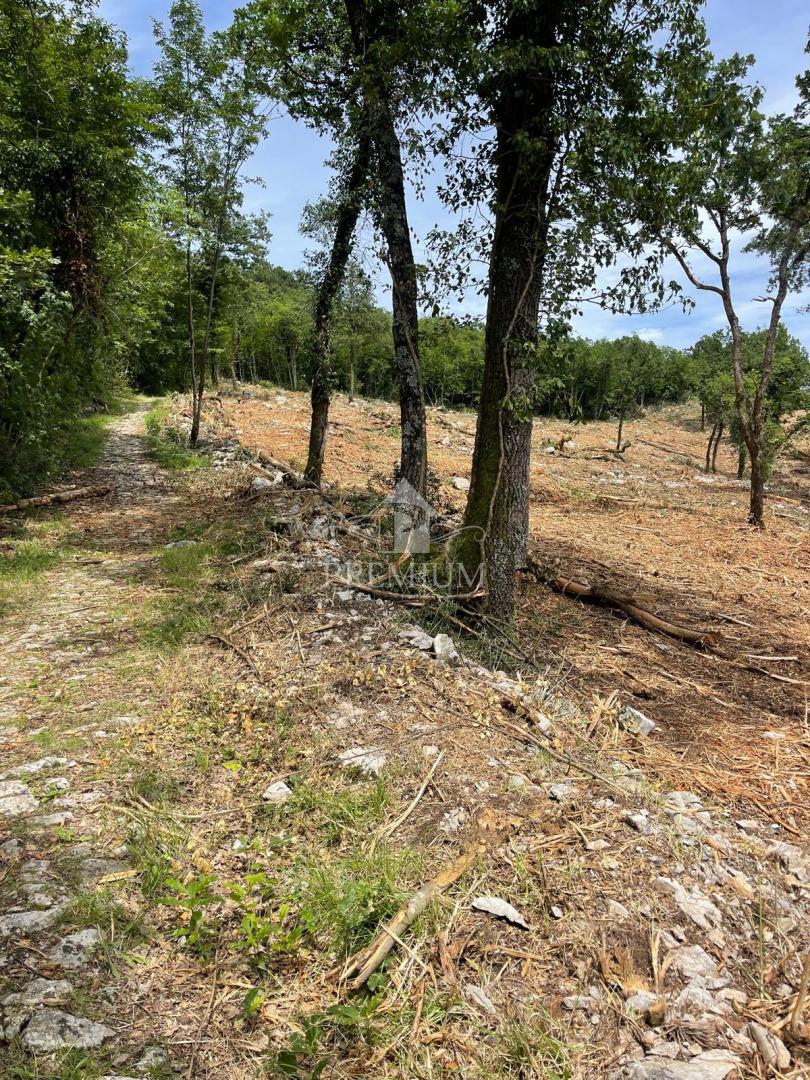 VELIKA PARCELA Z LEPIM RAZGLEDOM, MIRNA LOKACIJA, CONA T-1