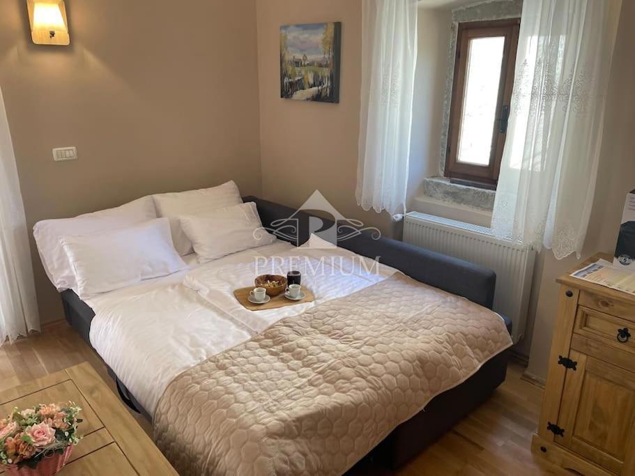 OBNOVLJENA STARA KAMNITA HIŠA