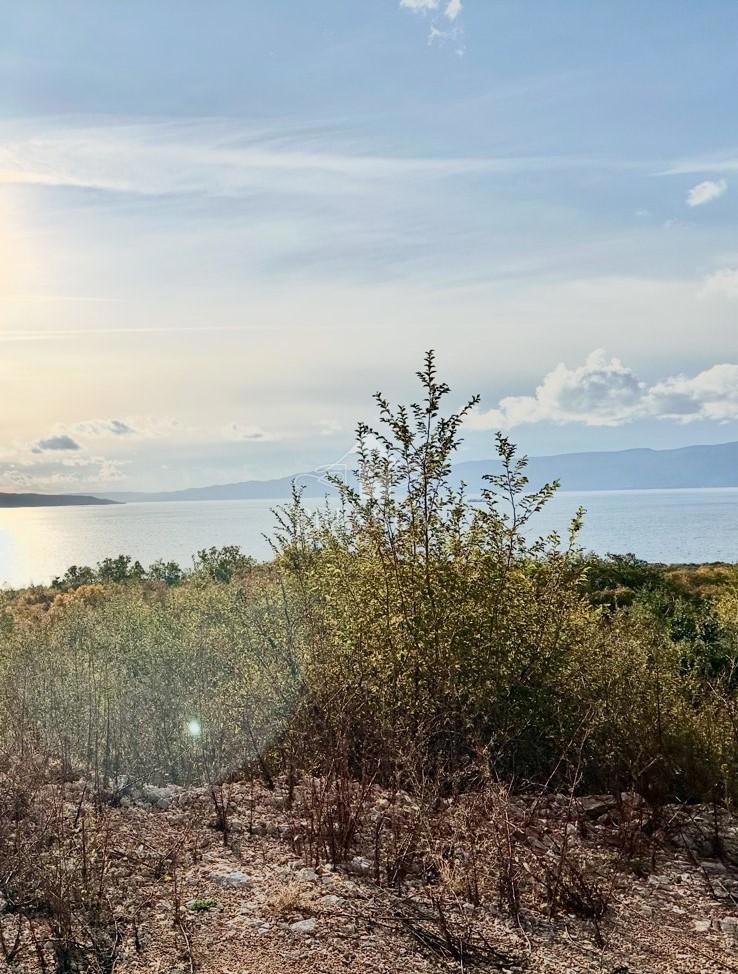ZAZIDLJIVO ZEMLJIŠČE, PANORAMSKI RAZGLED