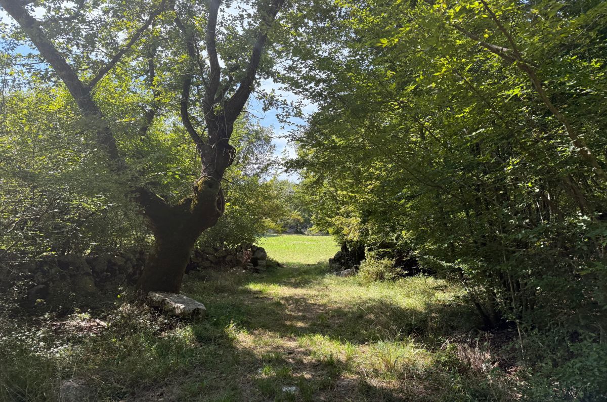 Kmetijsko zemlji&#353;&#263;e, prodaja, Malinska, Hrvatska, 9798 m2, 117.576,00 EUR