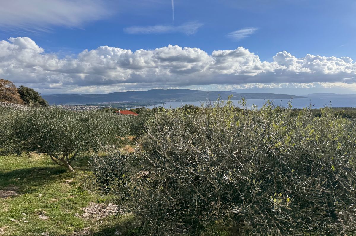 Hi&#353;a, prodaja, Mesto Krk, Hrvatska, 31240 m2, 3.600.000,00 EUR